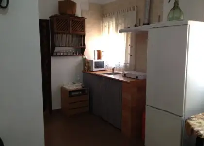 Chalet en parcela rustica con olivar en Manzanares