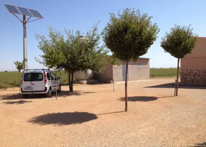 Chalet en parcela rustica con olivar en Manzanares