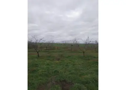 Finca rústica en venta en Daimiel en Daimiel