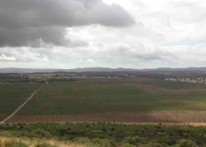 FINCA RUSTICA en venta en Valdepeñas