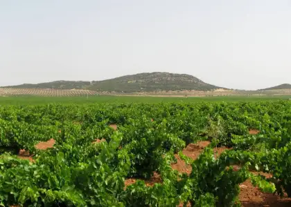 FINCA RUSTICA en venta en Valdepeñas