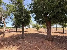 Finca Rústica Venta Manzanares, Manzanares en Manzanares