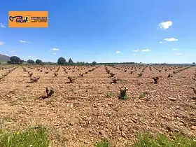 Finca Rústica Venta Valdepeñas, Valdepeñas en Valdepeñas