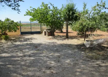 Se vende casa de campo en La Solana