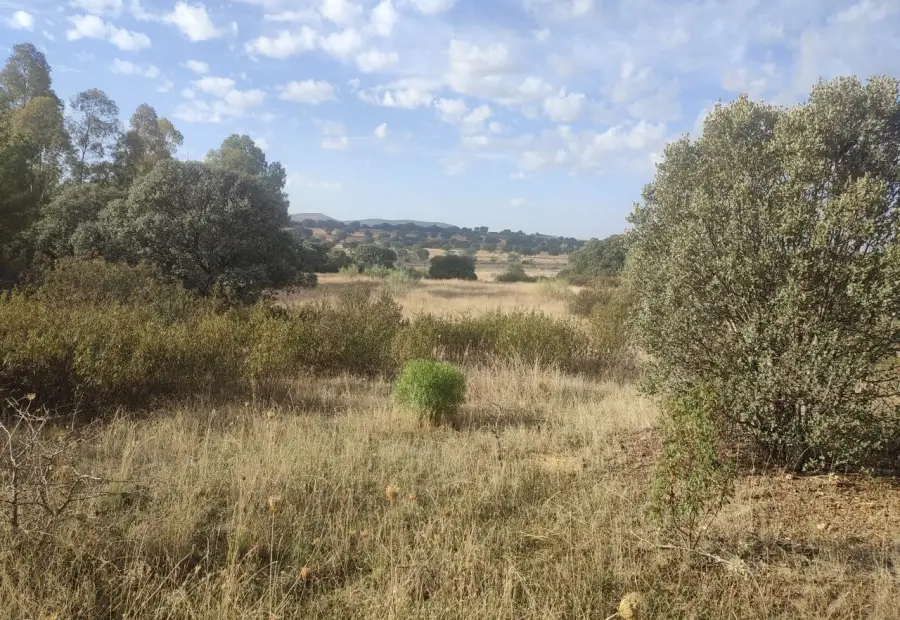 Terreno en Paisaje El Talaverano, Brazatortas en Brazatortas