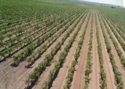 Terreno en venta en Manzanares en Manzanares