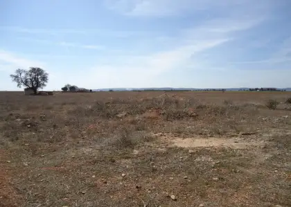 Venta de finca rustica en Camino Villa Paquita en Manzanares