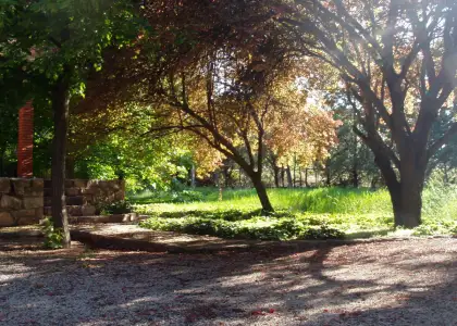 Venta de finca rustica en crta. Desvio nacional 430 en Manzanares